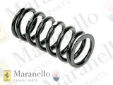 Rear Suspension Spring