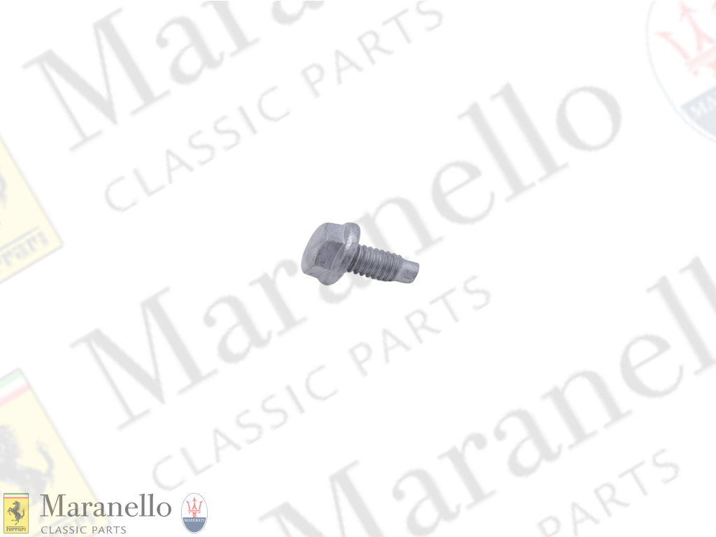Special Screw