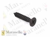 Black Countersunk Self Tapping Screw