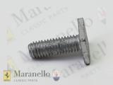 Screw