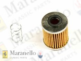 Fuel Filter&Spring (Small)