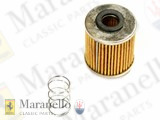 Fuel Filter&Spring (Small)