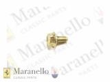 Self Locking Bolt M6 x 12