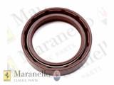 Oil Seal (Non Directional)