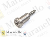 Lens Screw (Testarossa)