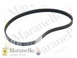 Water Pump Control Belt