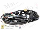 Wiring Harness Front RHD