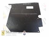 LH Shield