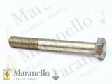 Screw