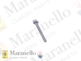 Screw M6 x 70