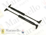 Gas Strut