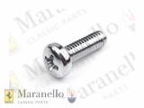 Chrome Screw