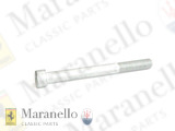 Allen Screw 10x100