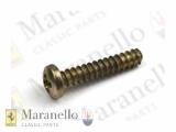 Self Tapping Screw