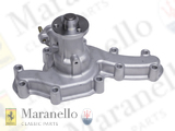 Complete Water Pump Assembly 246