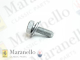 Screw