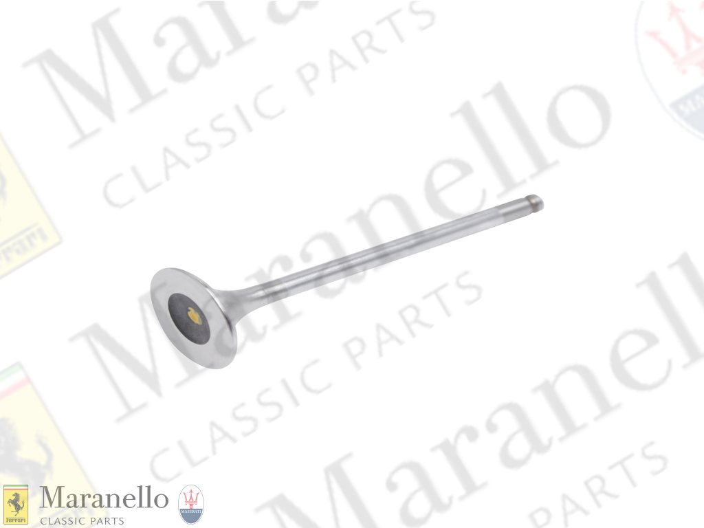 Exhaust Valve