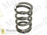 Rear Road Spring