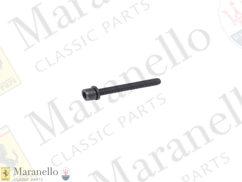 Screw With Washer M6 x 45 TCEI