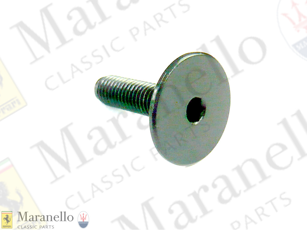 Screw 8x30