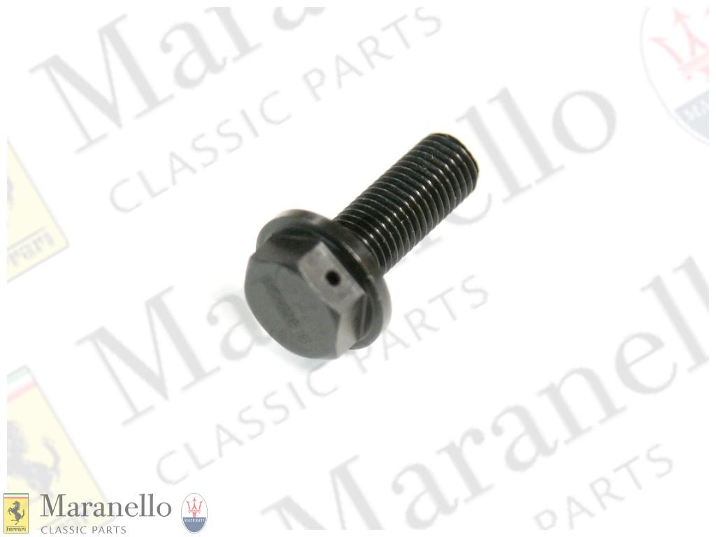 Diff Bolt (with wire locking) Fit in sets