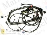 RH Wiring Cables To Ecu