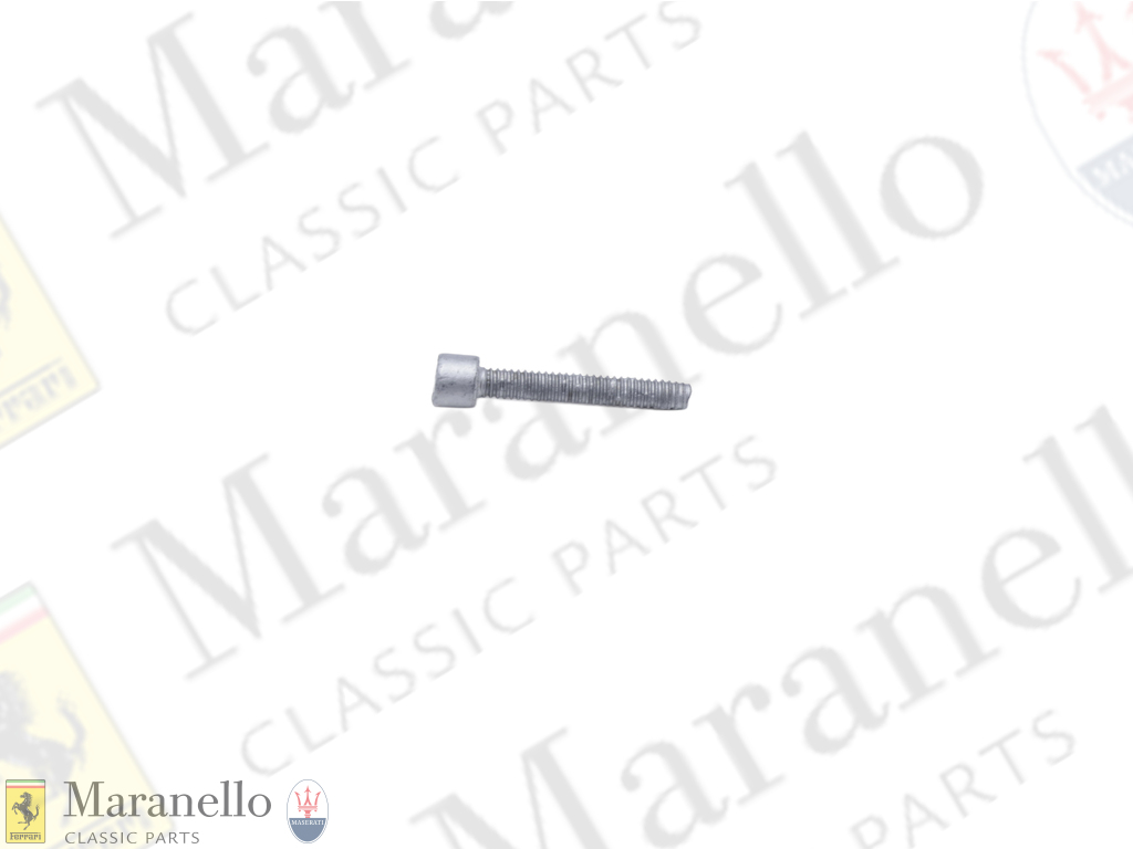 Screw M5 x 25