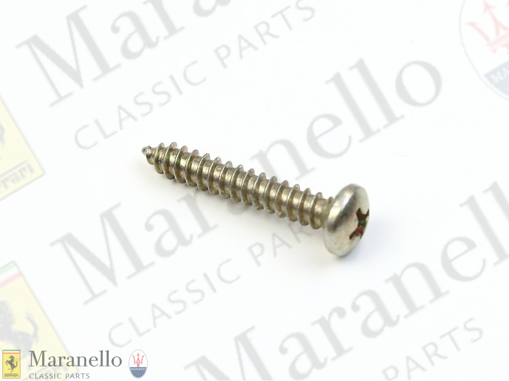 Self Tapping Screw