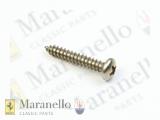 Self Tapping Screw