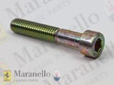 Screw