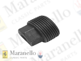 Oil Drain Cap
