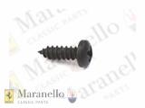 Black Self Tapping Screw