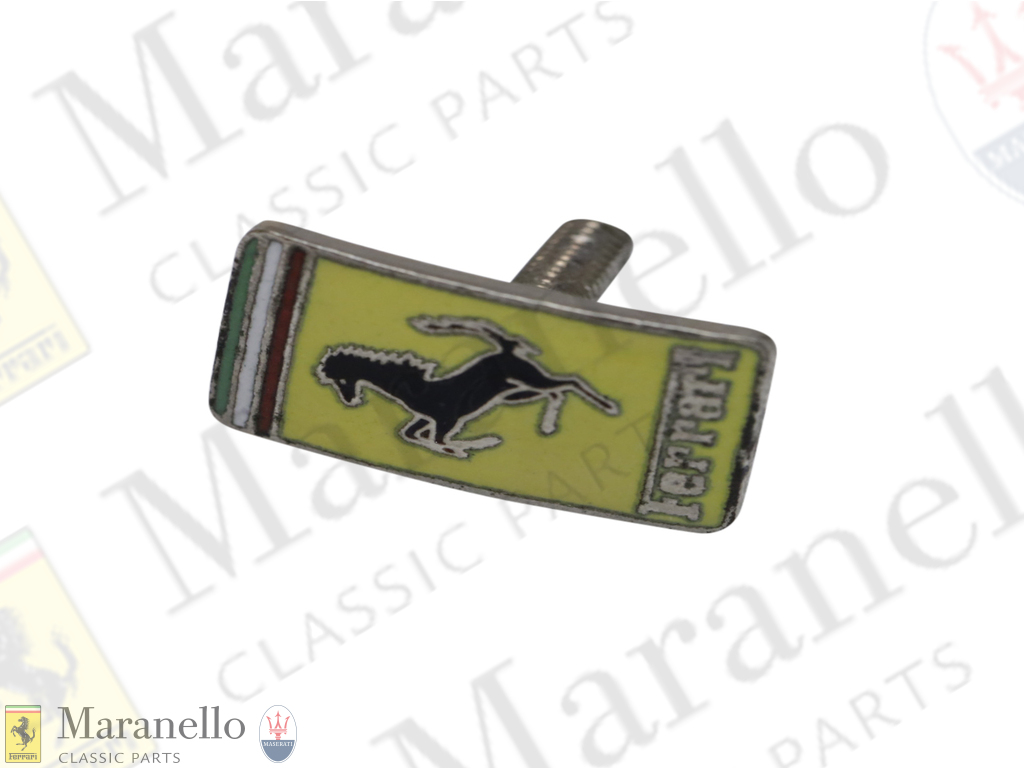 Door Mirror Emblem/Badge