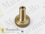 Radiator Bleed Screw