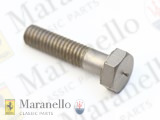 Screw