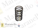 Inner Valve Spring