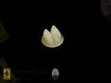 Plastic Screw Insert