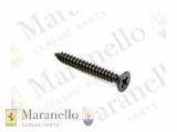 Black Countersunk Self Tapping Screw